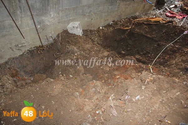 modahama lud 0216 (25).JPG